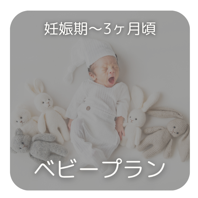 ベビープランボタン