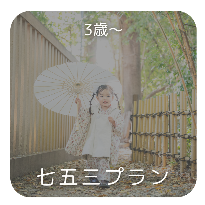 753プランボタン