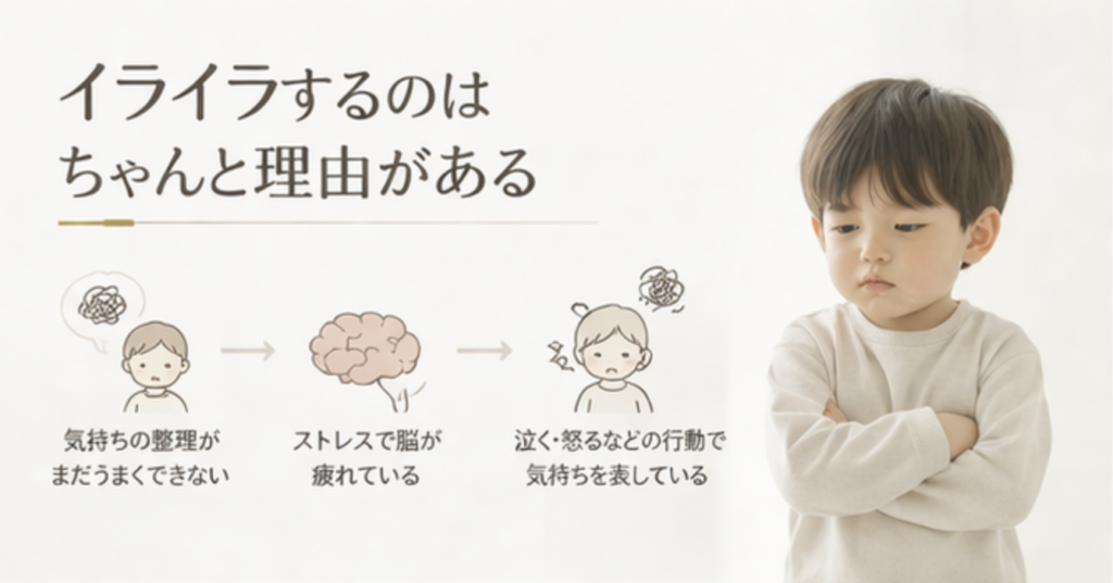 なぜイライラするの？（自己調整の未発達）