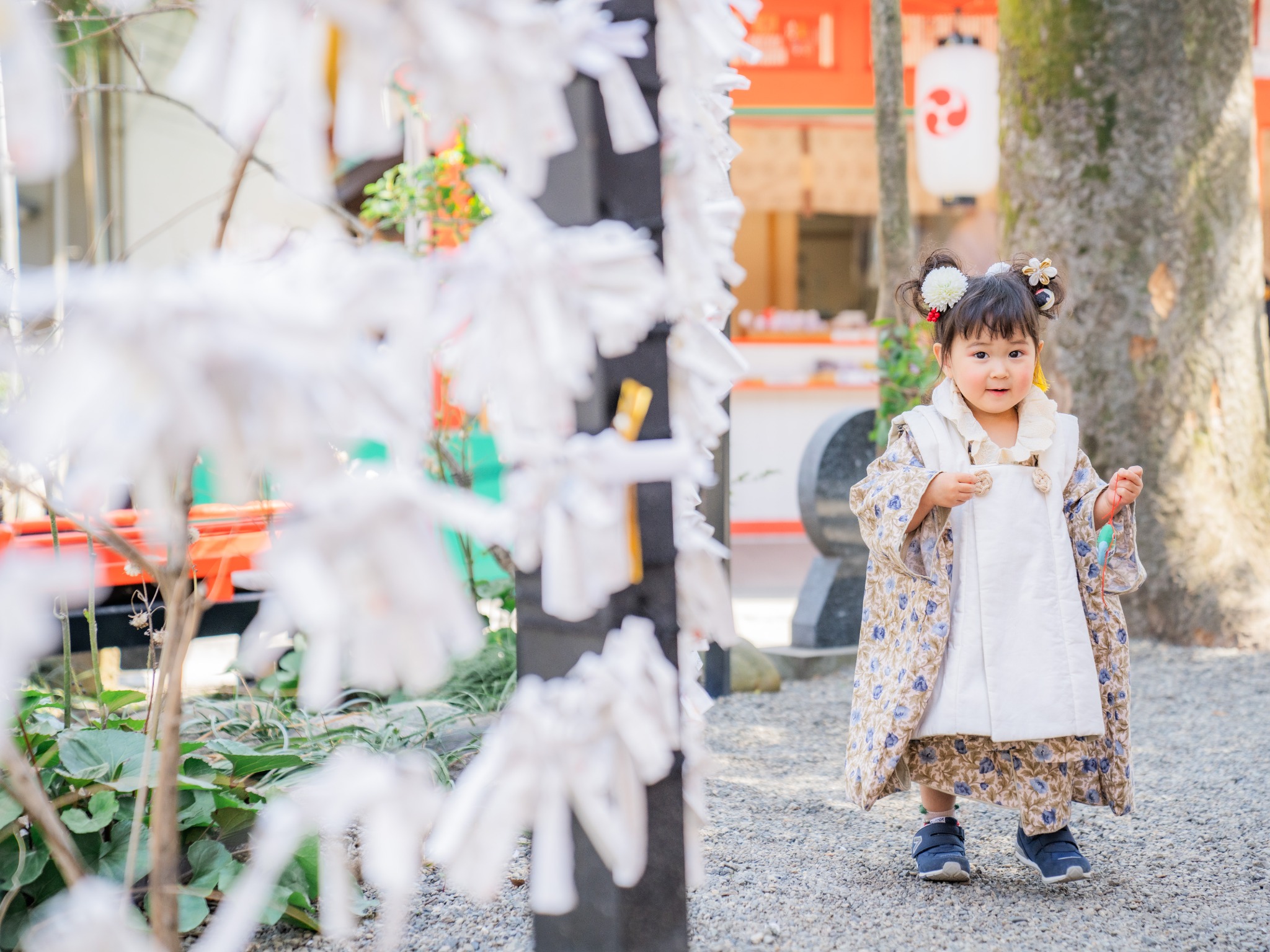 田無神社で七五三撮影をする3歳の女の子